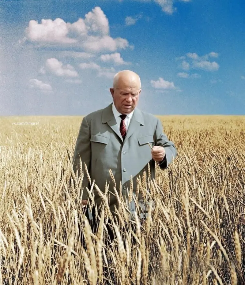 Nikita Khrushchev in a wheat field