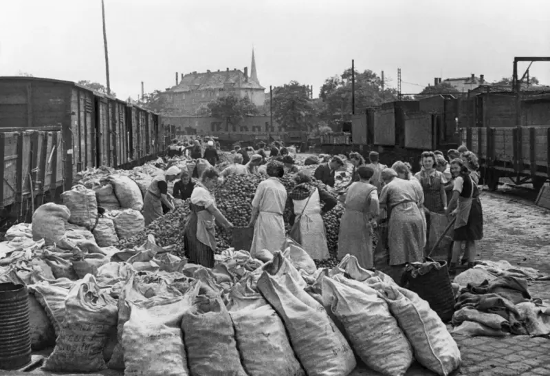 Potato distribution by Soviet forces in Berlin
