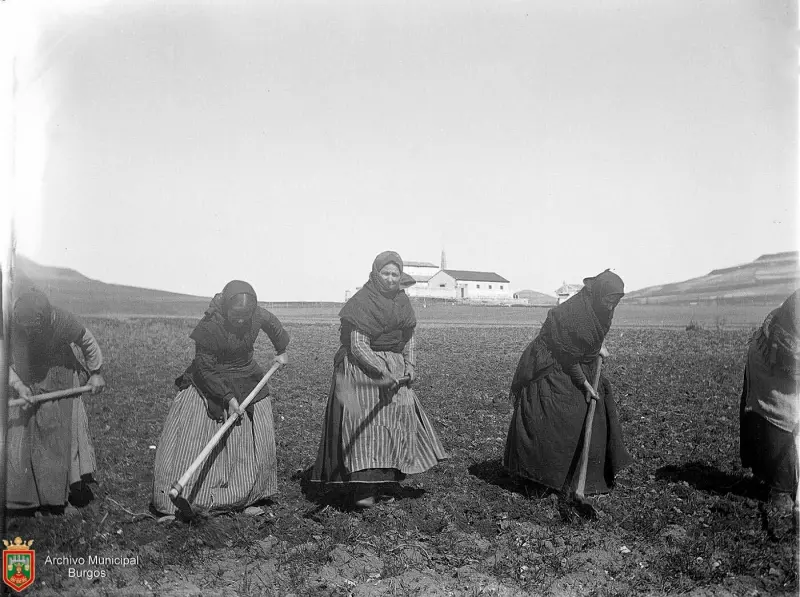 Mujeres trabajando la tierr