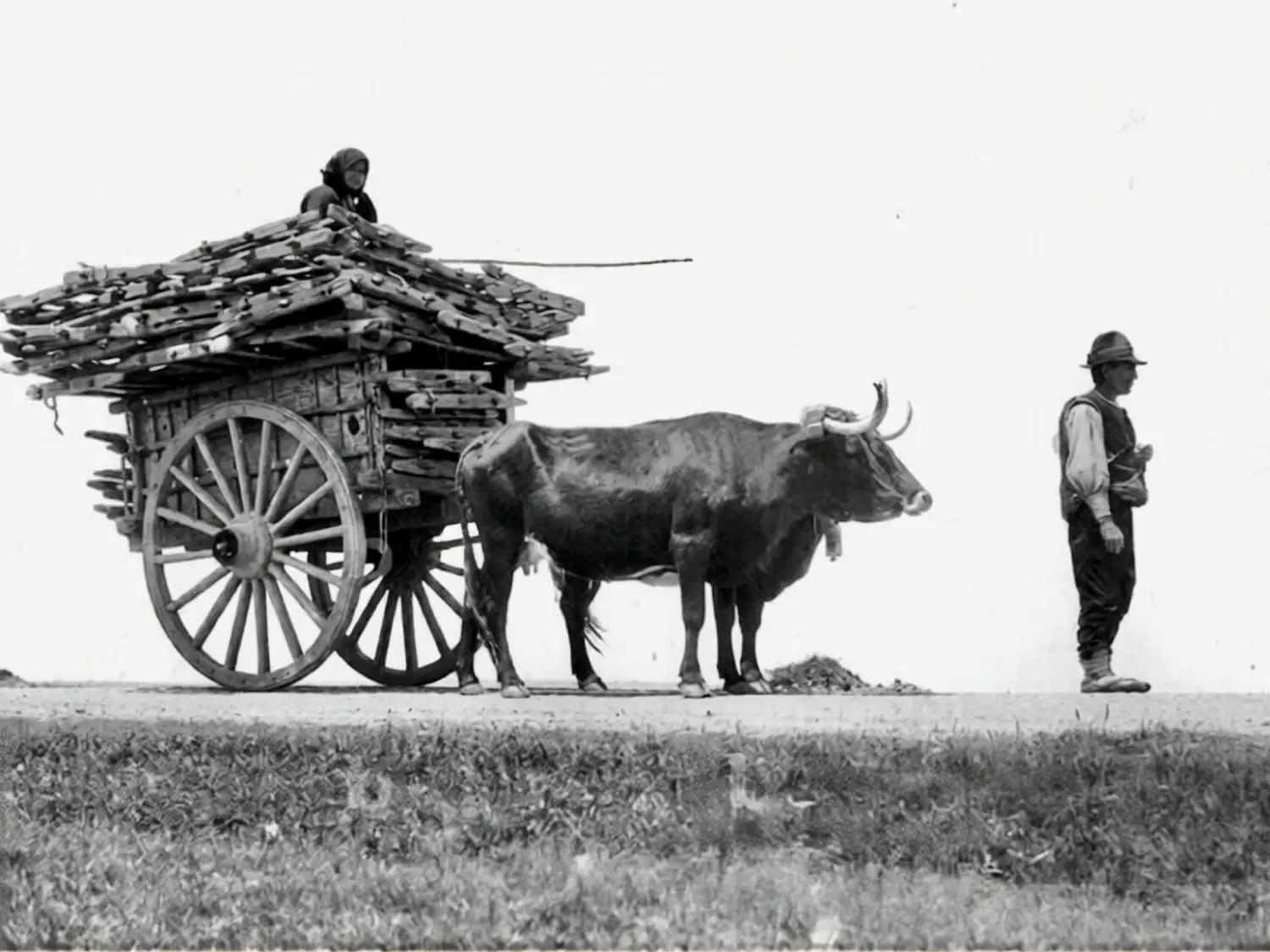 Hombre conduciendo un carro
