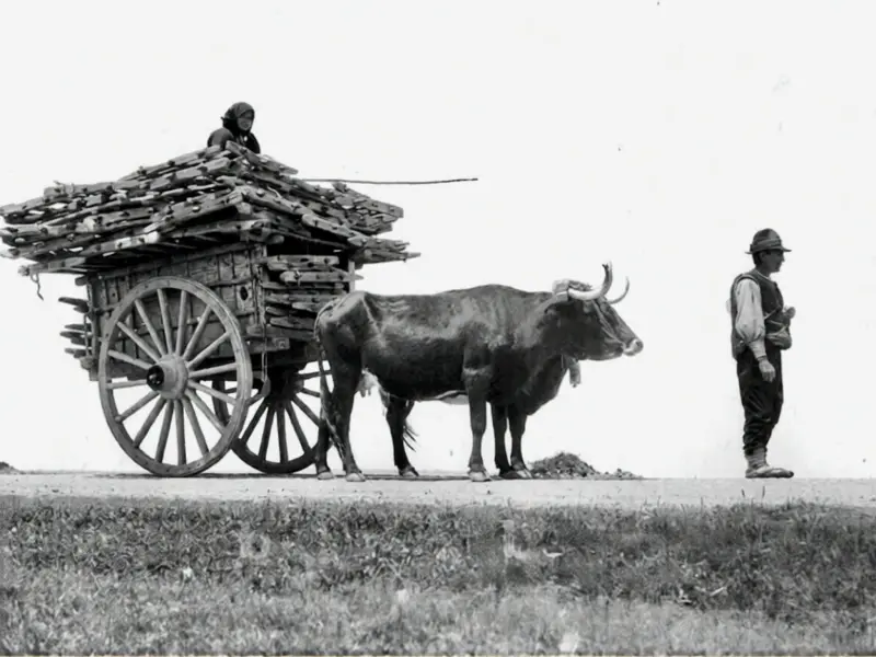 Hombre conduciendo un carro