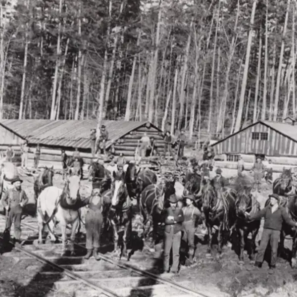 Logging camp
