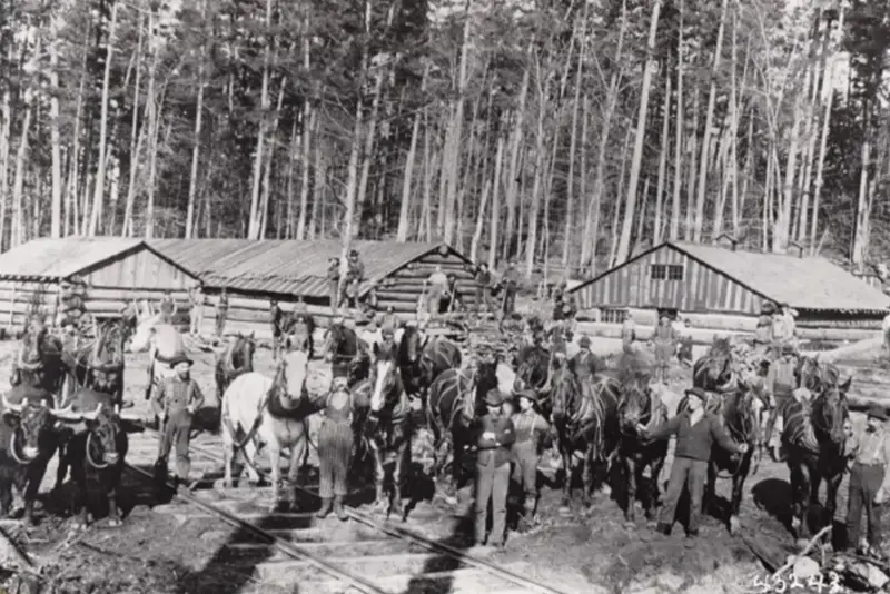 Logging camp