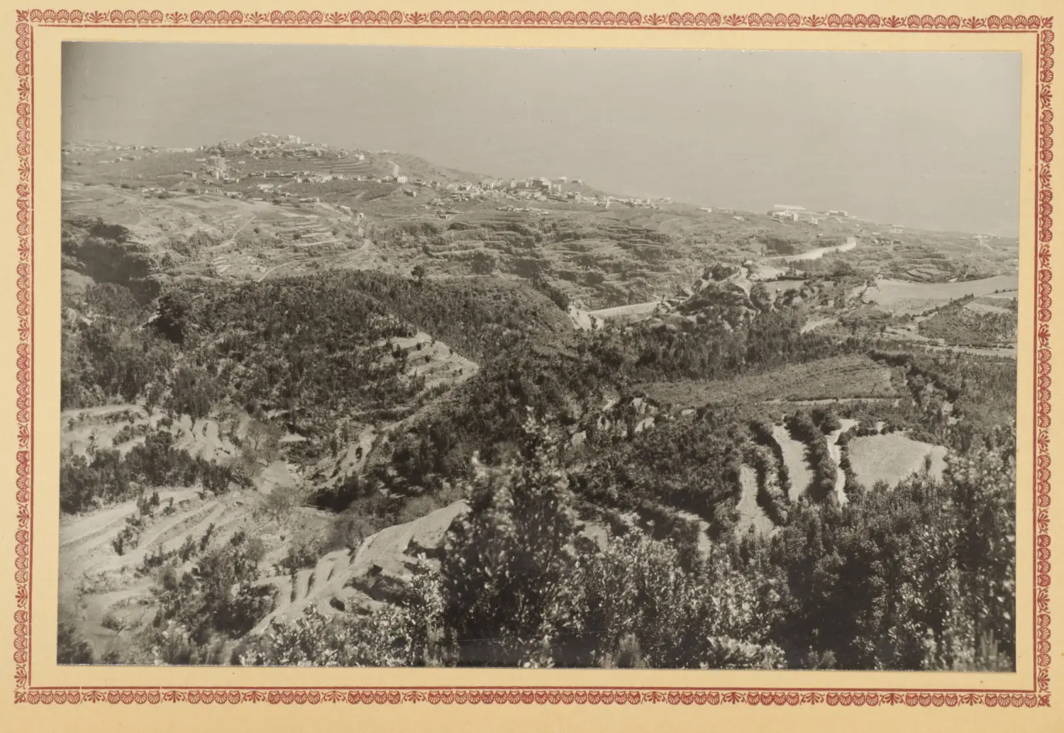 Panorámica de Los Sauces