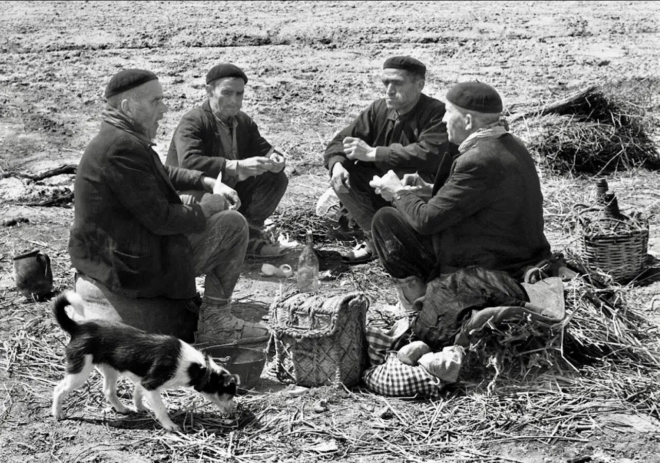 Labradores almorzando 