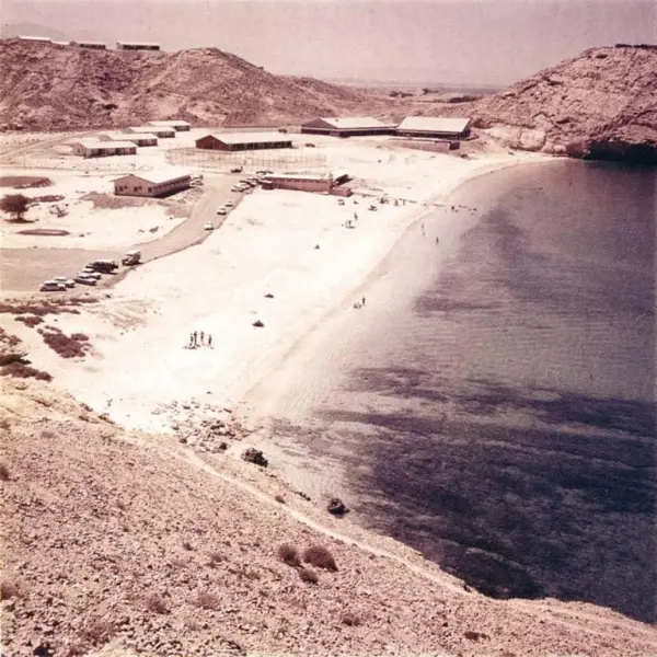 Petroleum Development