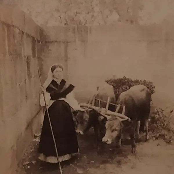 Retrato de moza pontevedresa 