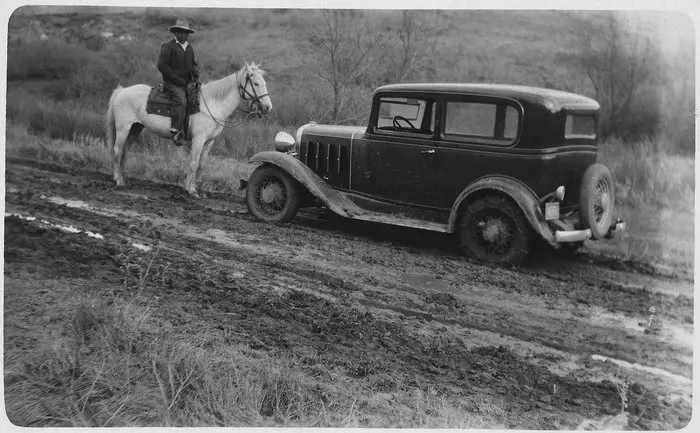 A horse and a car meet on a road 