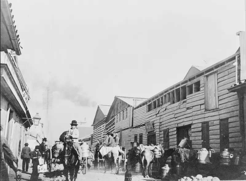 LECHEROS Y SUS CABALLOS