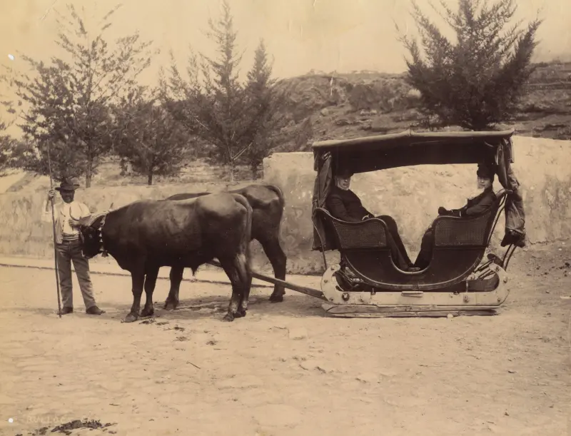 BULLOCK CAR