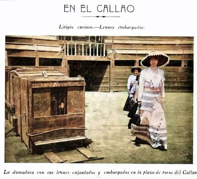 Litigio curioso - Leones embargados