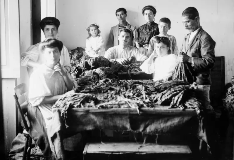 Tabaquería en La Dehesa