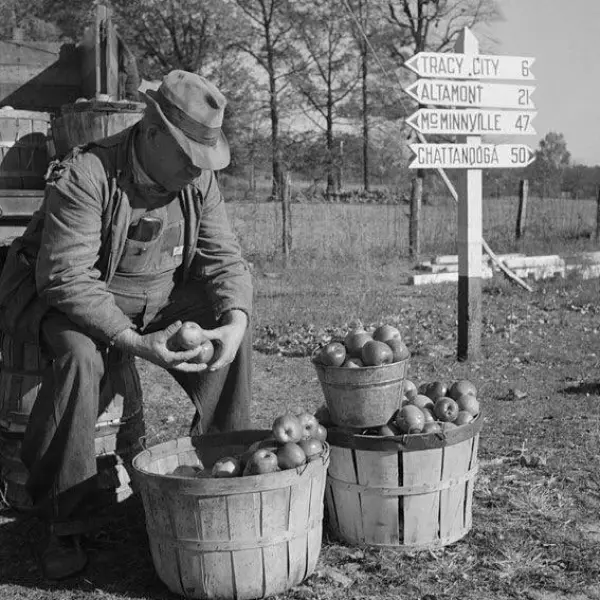 A farmer selling produce 