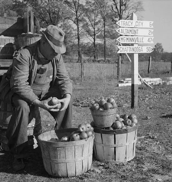 A farmer selling produce 