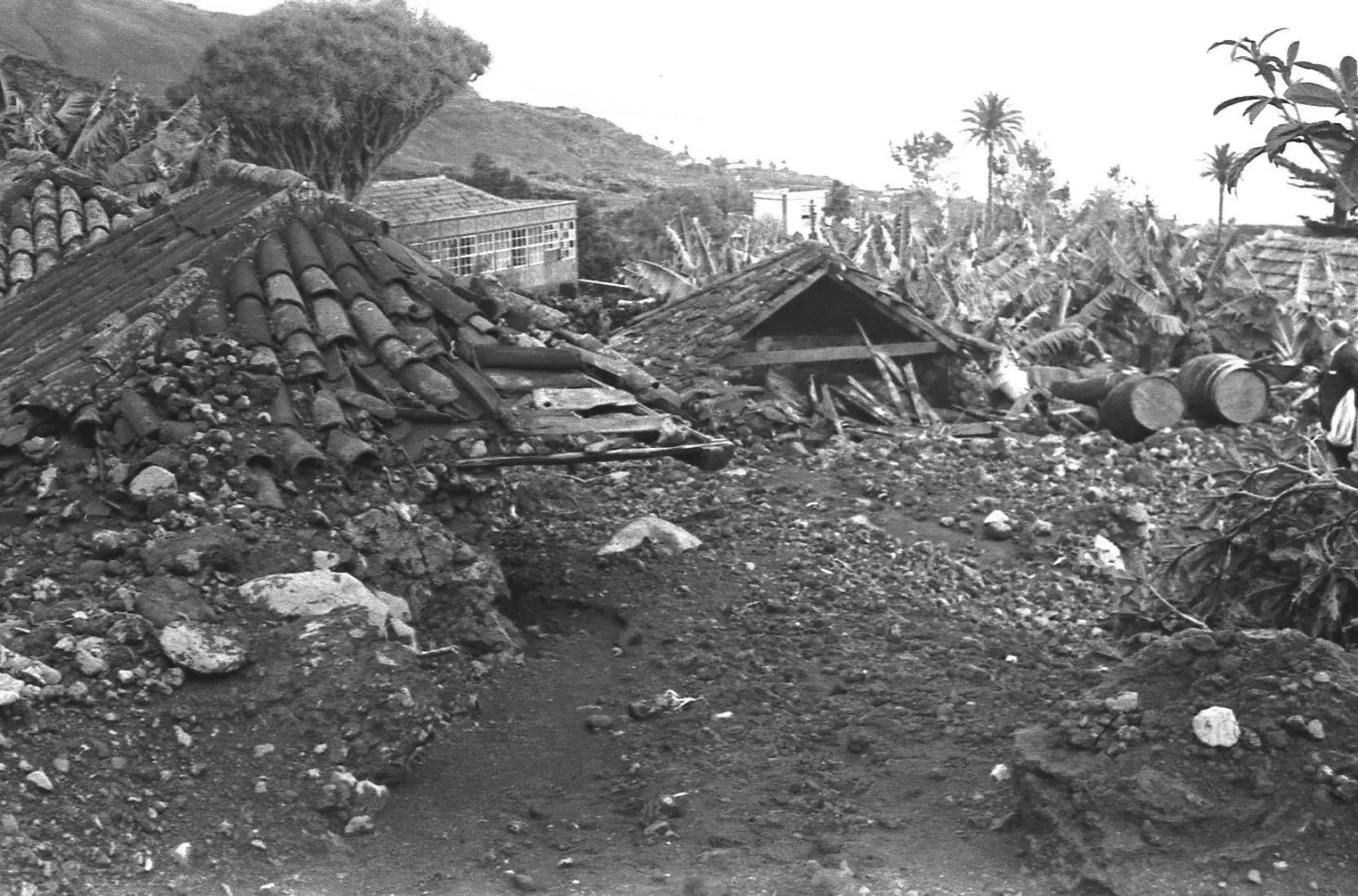 Riada del Llanito - San José