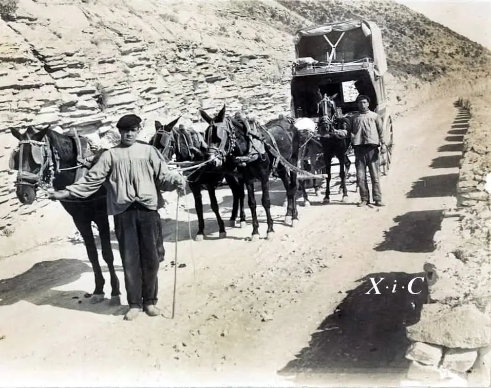 Diligencias Setabenses