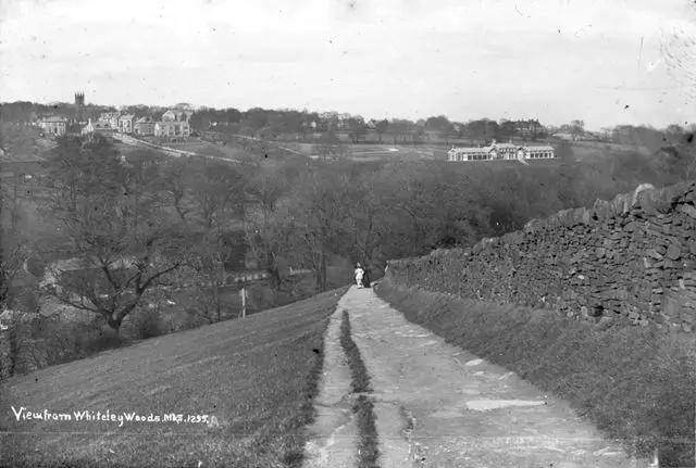 View from Whiteley Woods