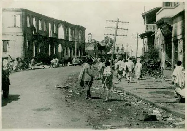 The damage caused by the arrival of the new flower