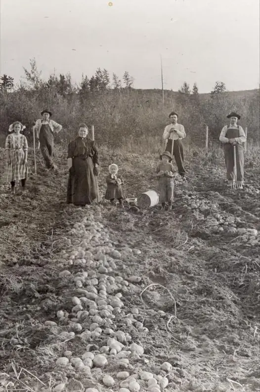 En la granja de Johnny Remo