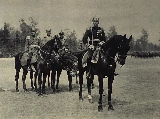 General Sofanor Parra y su división en revista (