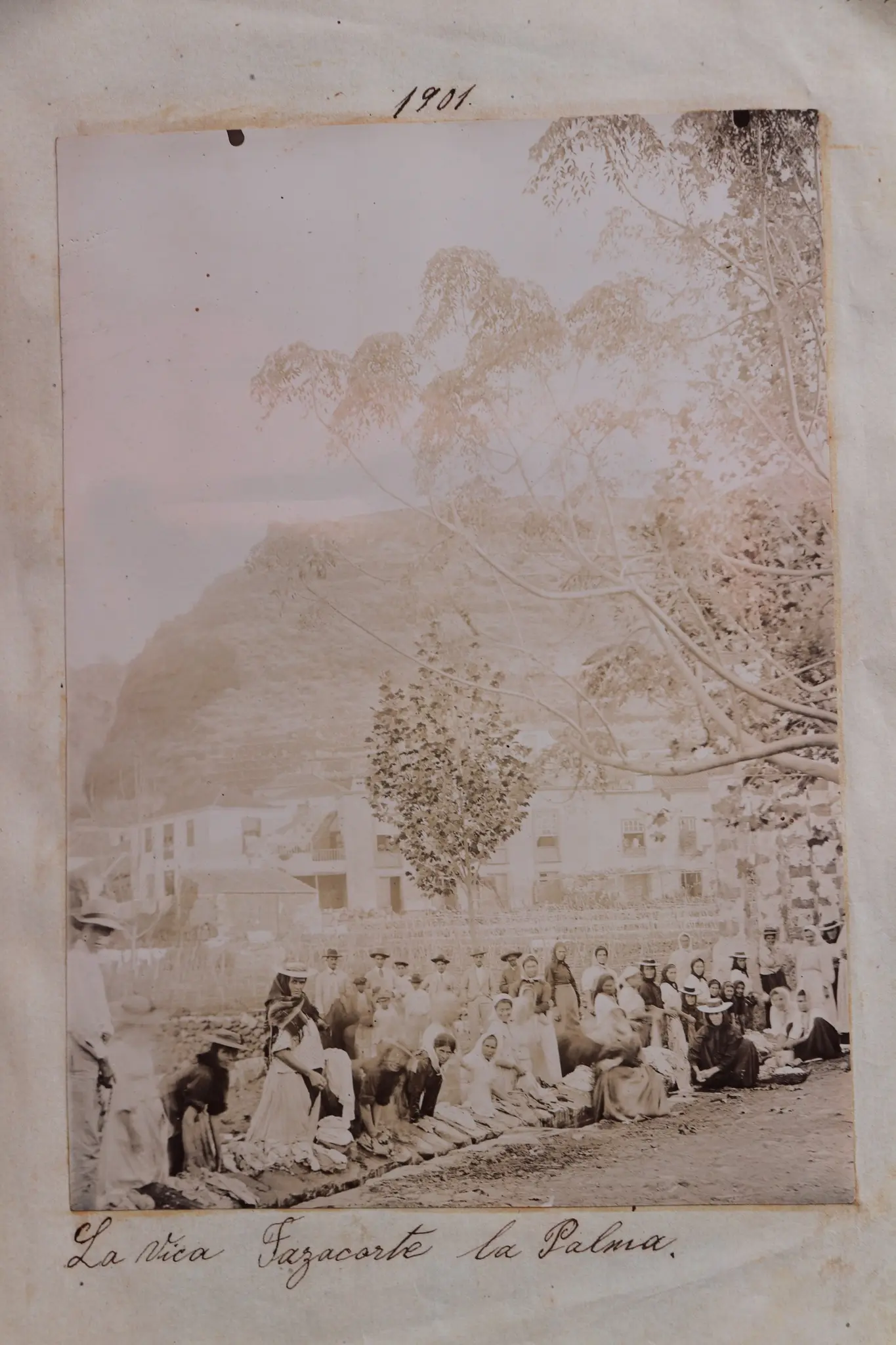 La Vica - Villa de Tazacorte