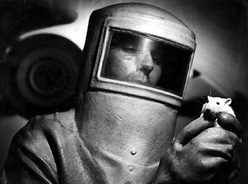 A laboratory assistant