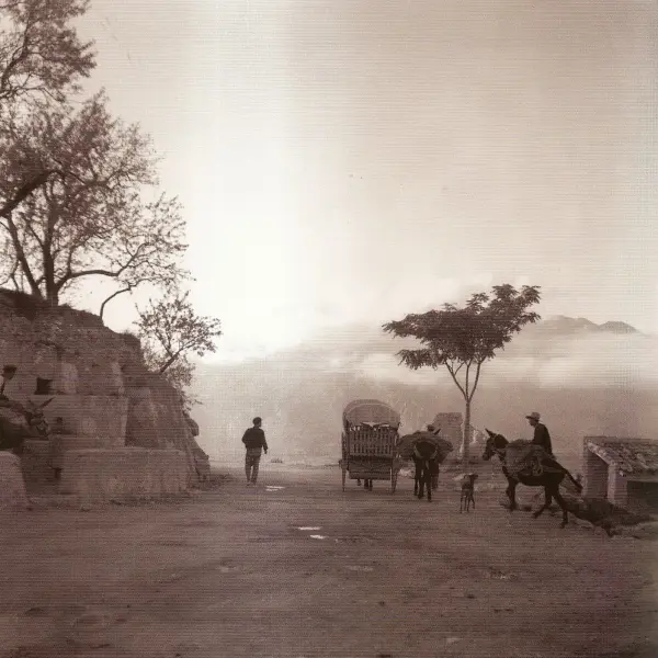 Niebla