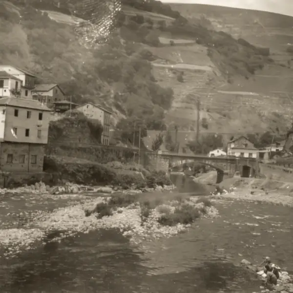 Río Narcea