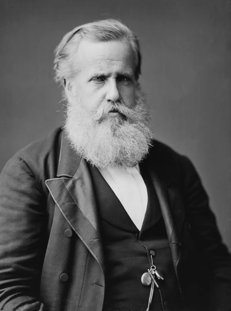 Photograph of Pedro II do Brasil by Mathew Brady