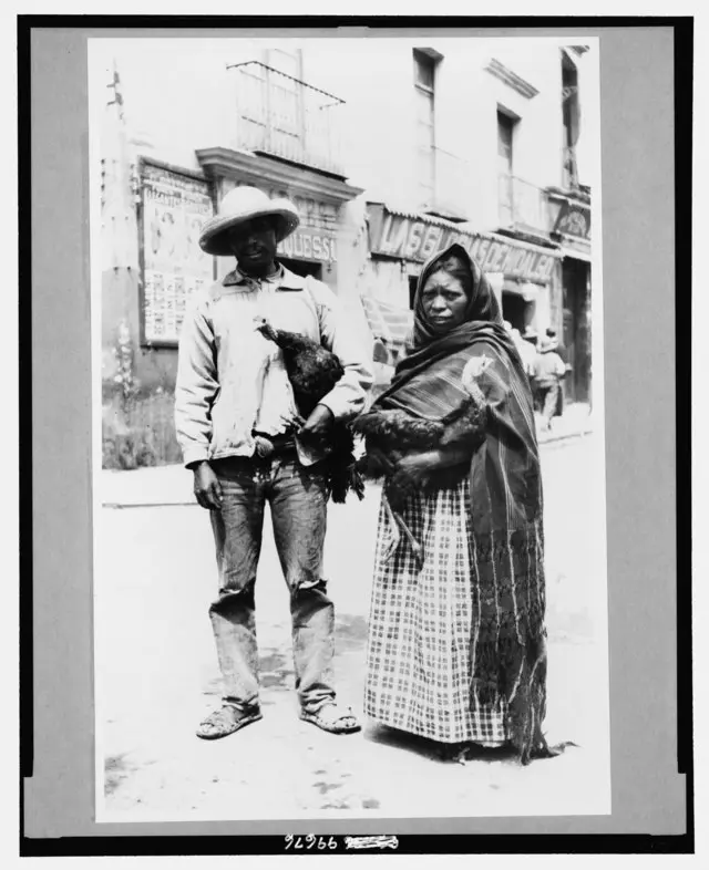 Vendedores de pollos