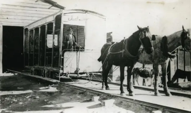 Carro de sangre en La Serena