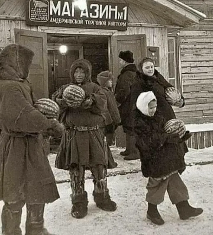 Watermelons introduced in the North