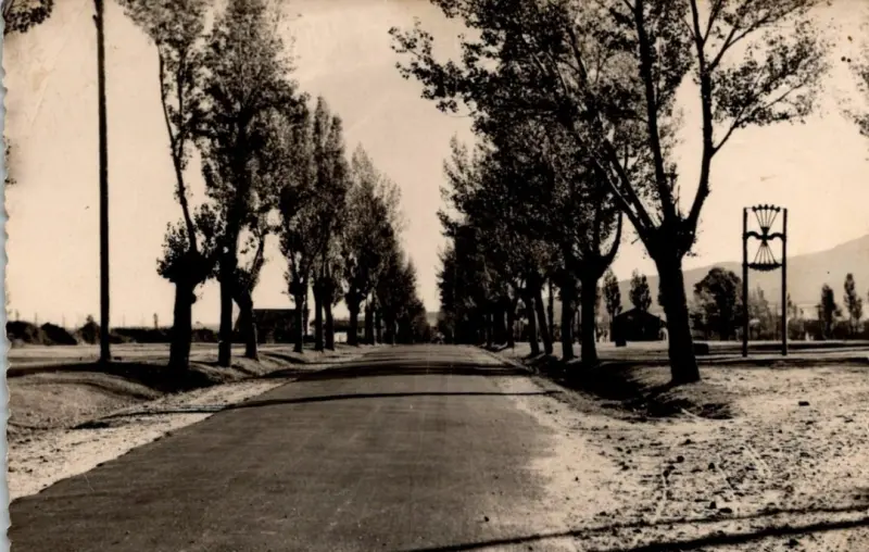 El yugo y las flechas