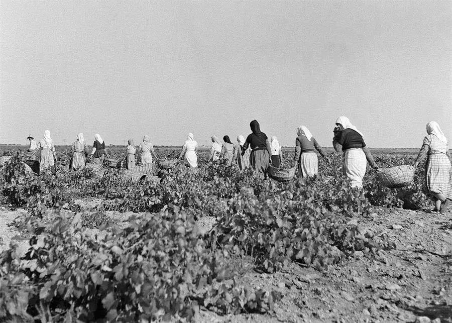 Grupo de mujeres
