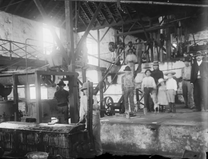 Trapiche en Los Sauces.