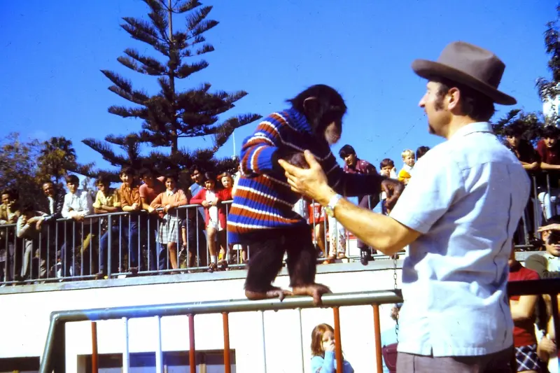 El circo visita Los Sauces.