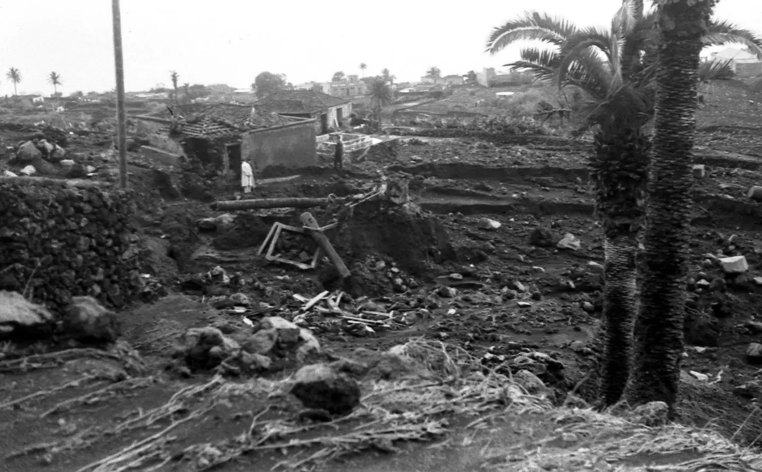 Riada del Llanito - San José.