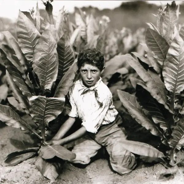  Gildersleeve Tobacco Farm