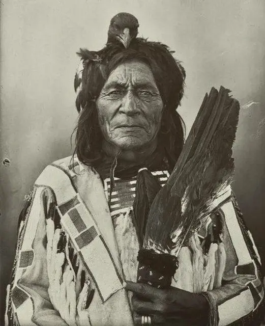 𝗟𝗢𝗡𝗚 𝗢𝗧𝗧𝗘𝗥