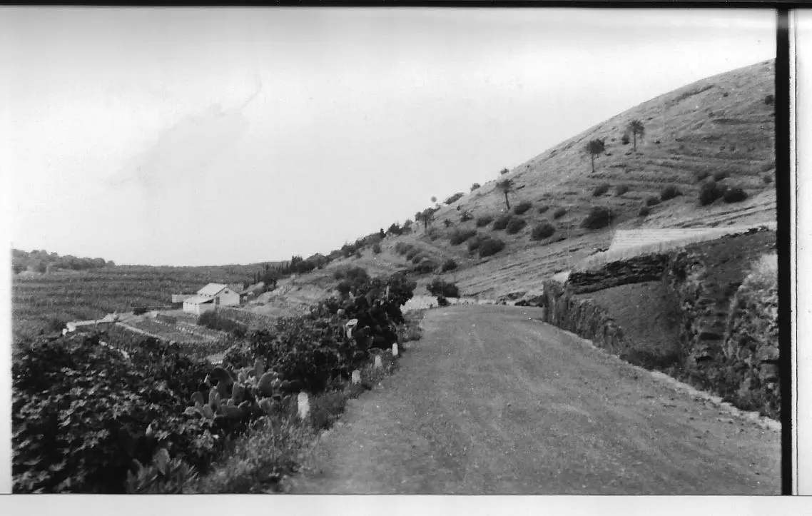 La Cadena - Barlovento
