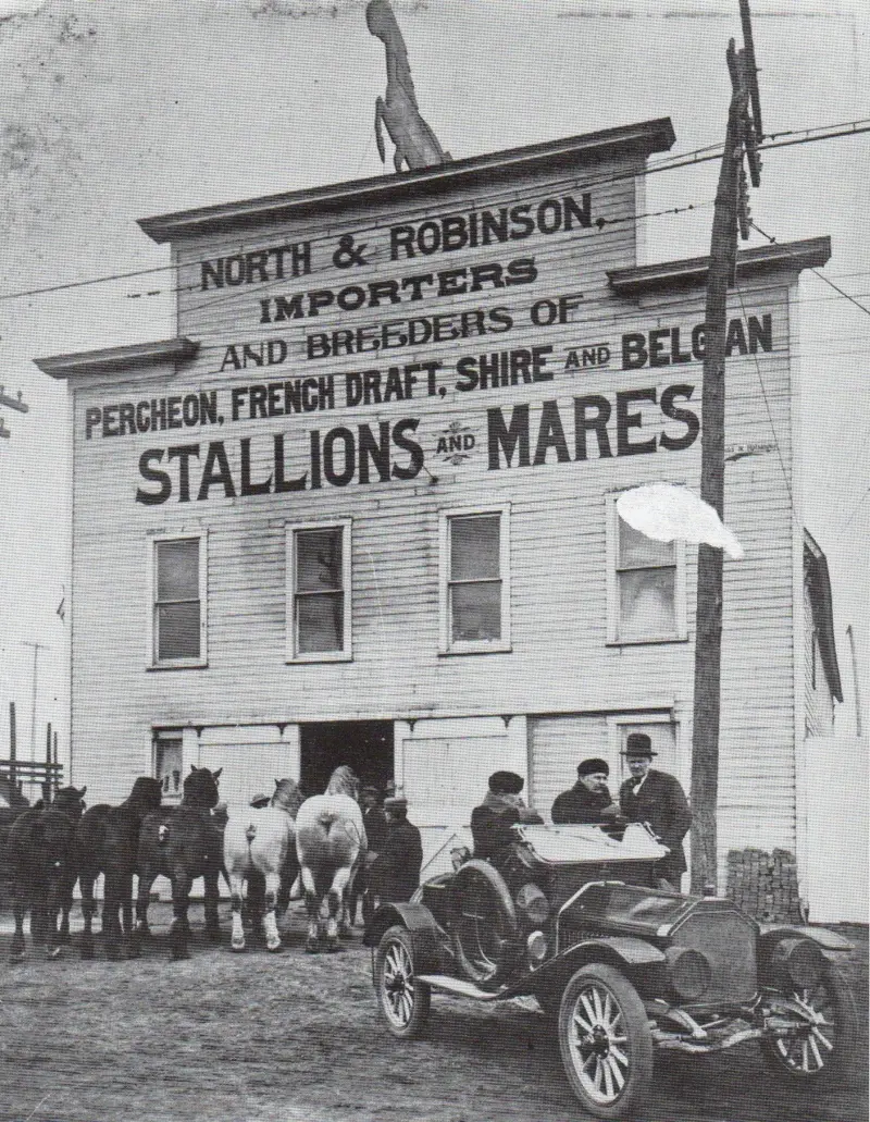 North & Robinson Horse & Mule Market 
