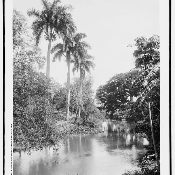 A Cuban landscape near Havana