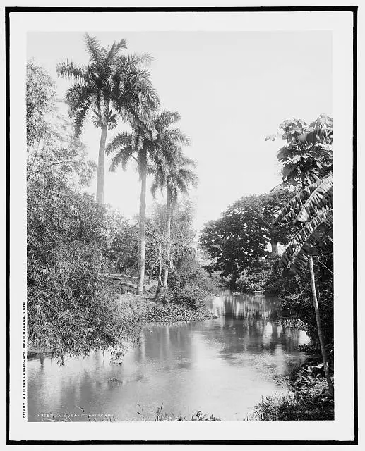 A Cuban landscape near Havana