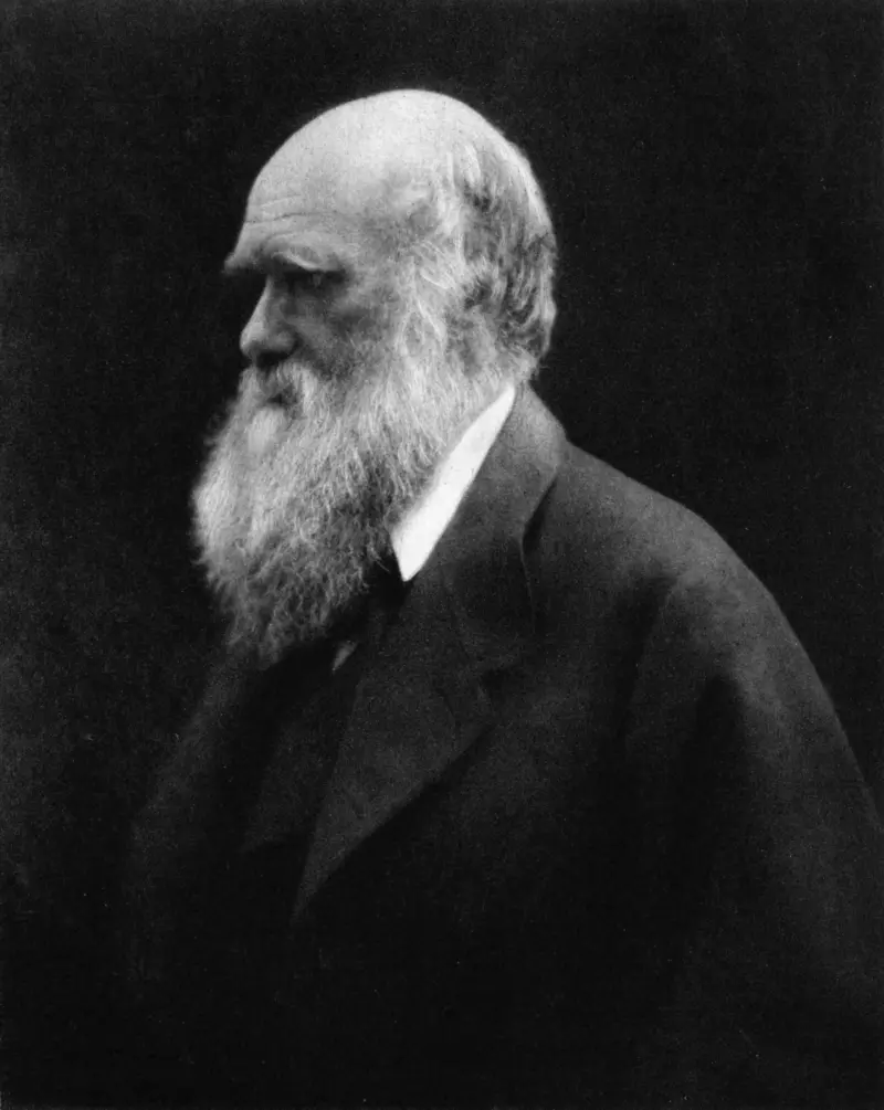 Charles Darwin by Julia Margaret Cameron