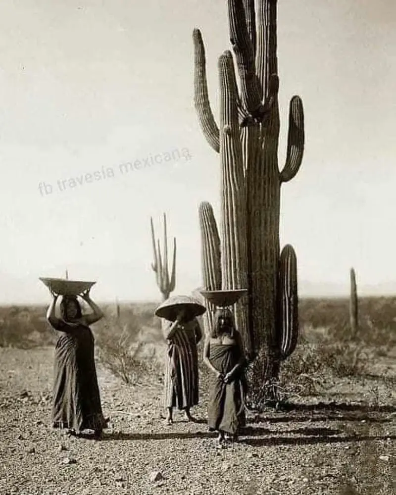 Mujeres de la etnía papago
