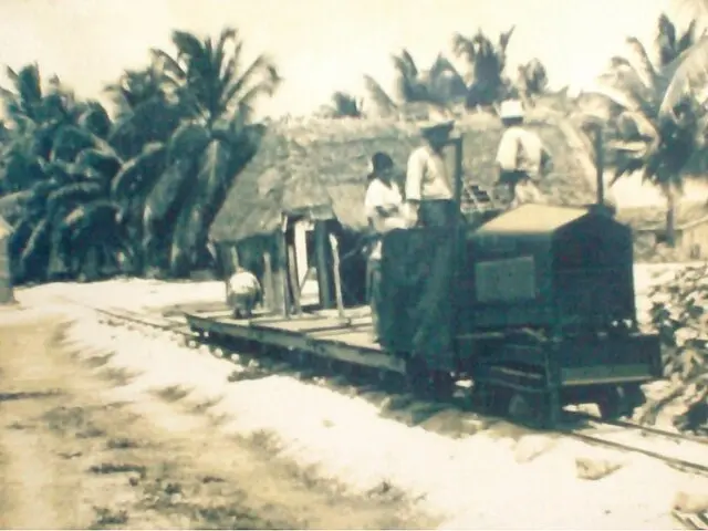 El ferrocarril Decauville en la selva