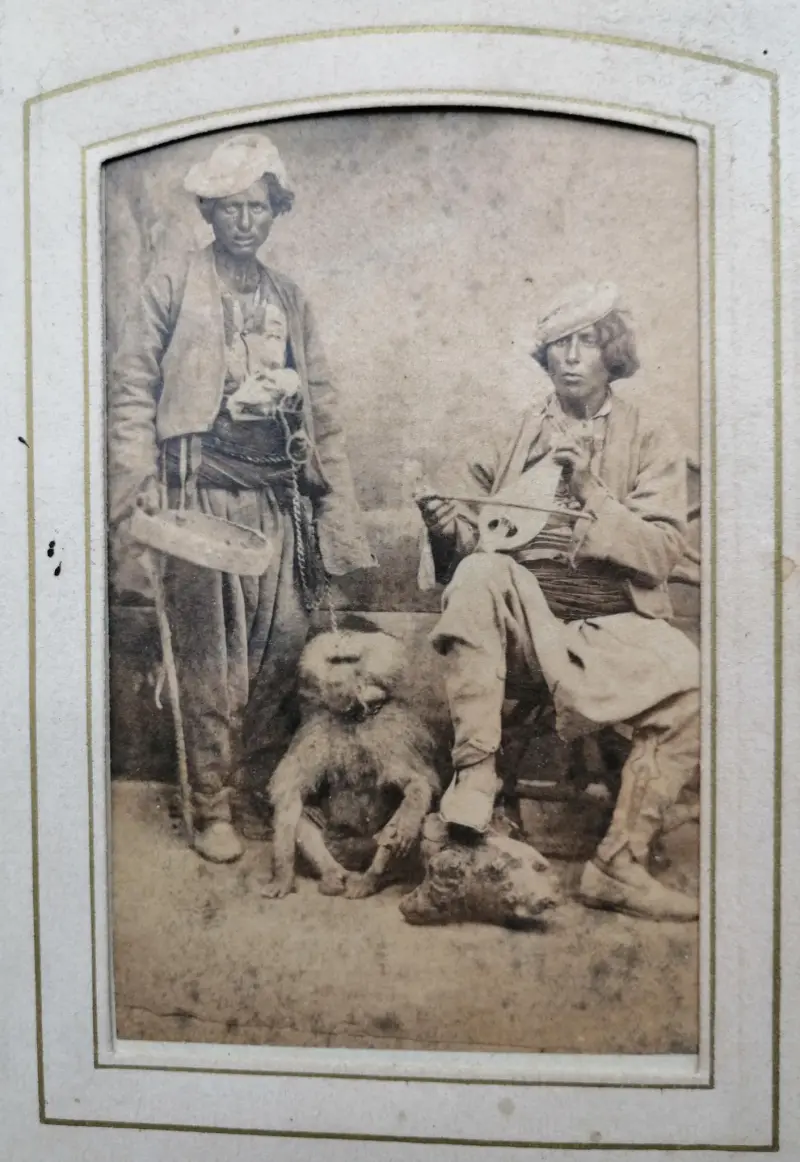 Muzicanți cu un babuin