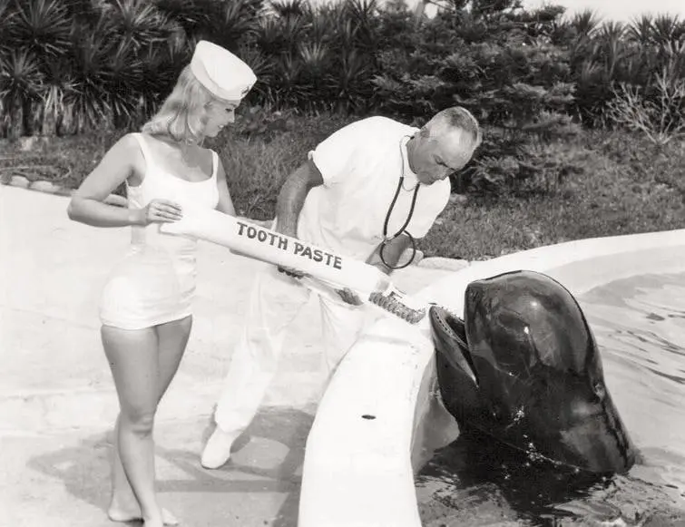 Keith Moby during a dental examination at Marineland Park