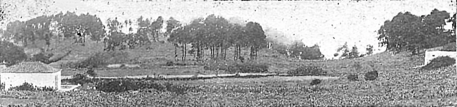 Vista de El Pinar de Fuencaliente 