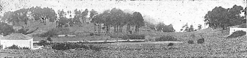 Vista de El Pinar de Fuencaliente 